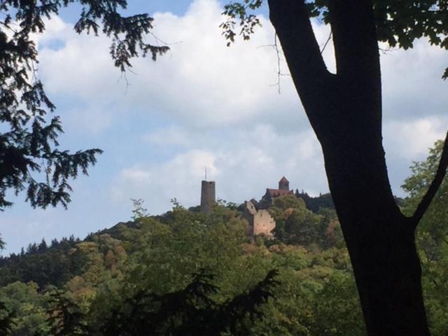 Ferienwohnung Burgenblilck Weinheim Luaran gambar