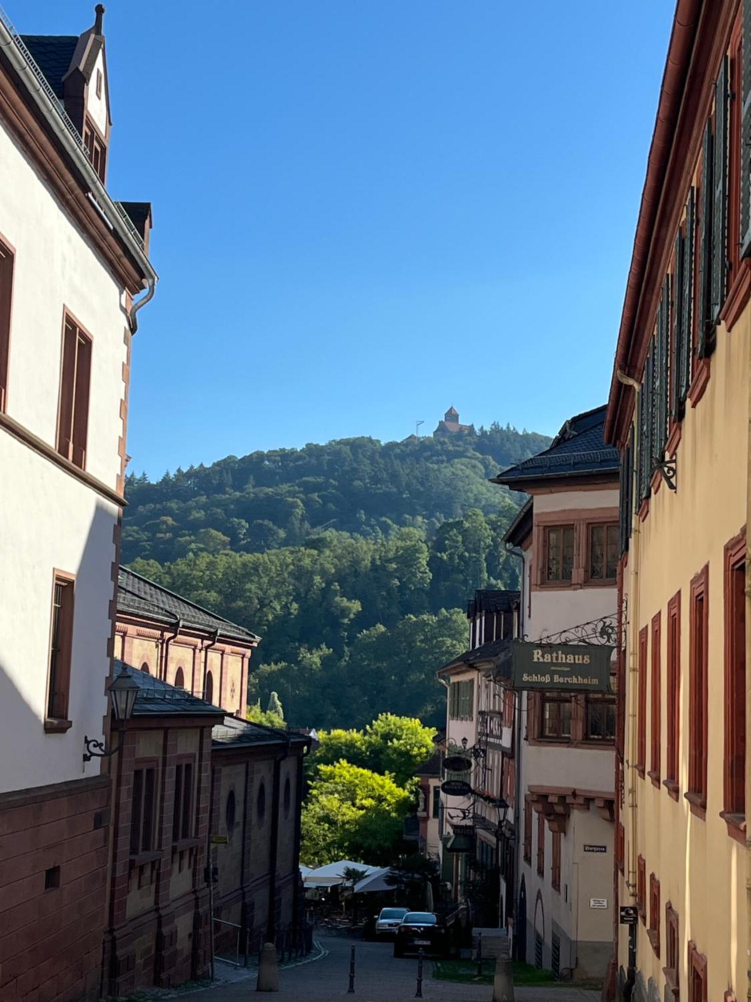 Ferienwohnung Burgenblilck Weinheim Luaran gambar