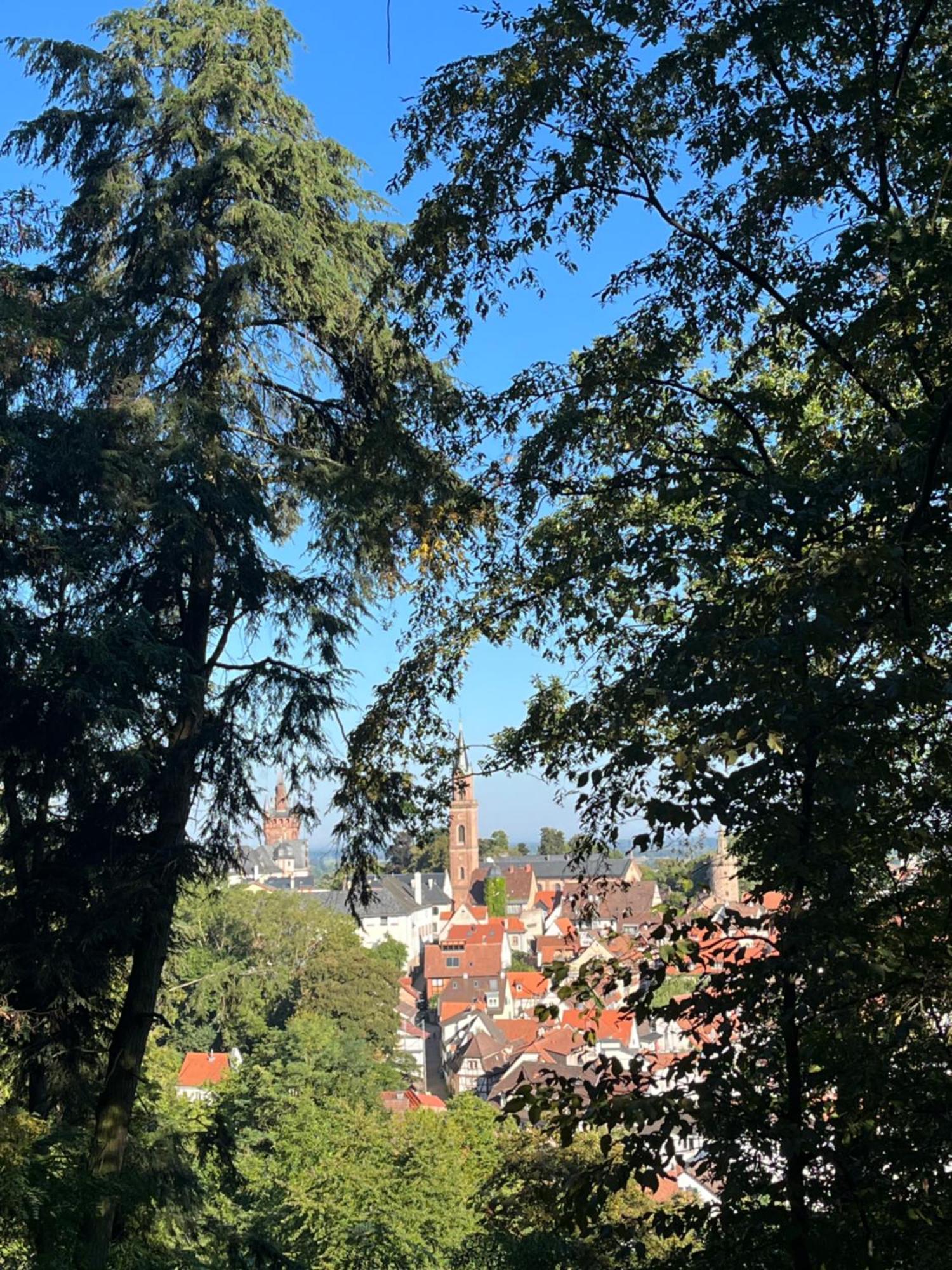 Ferienwohnung Burgenblilck Weinheim Luaran gambar